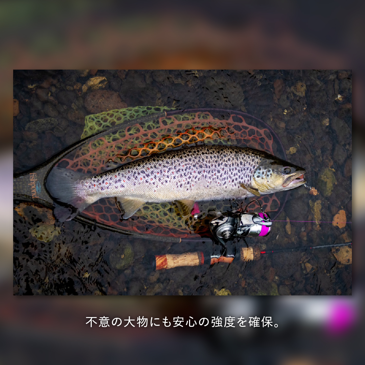 スーパートラウト アドバンス トゥイッチマスター マーキング［ナイロン］