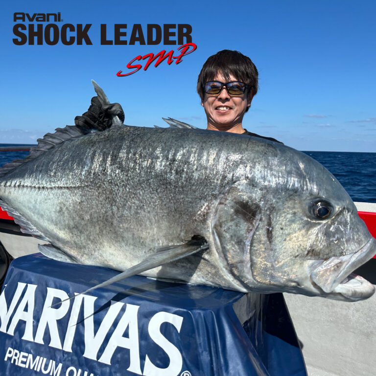 Avani Shock Leader SMP [Nylon]