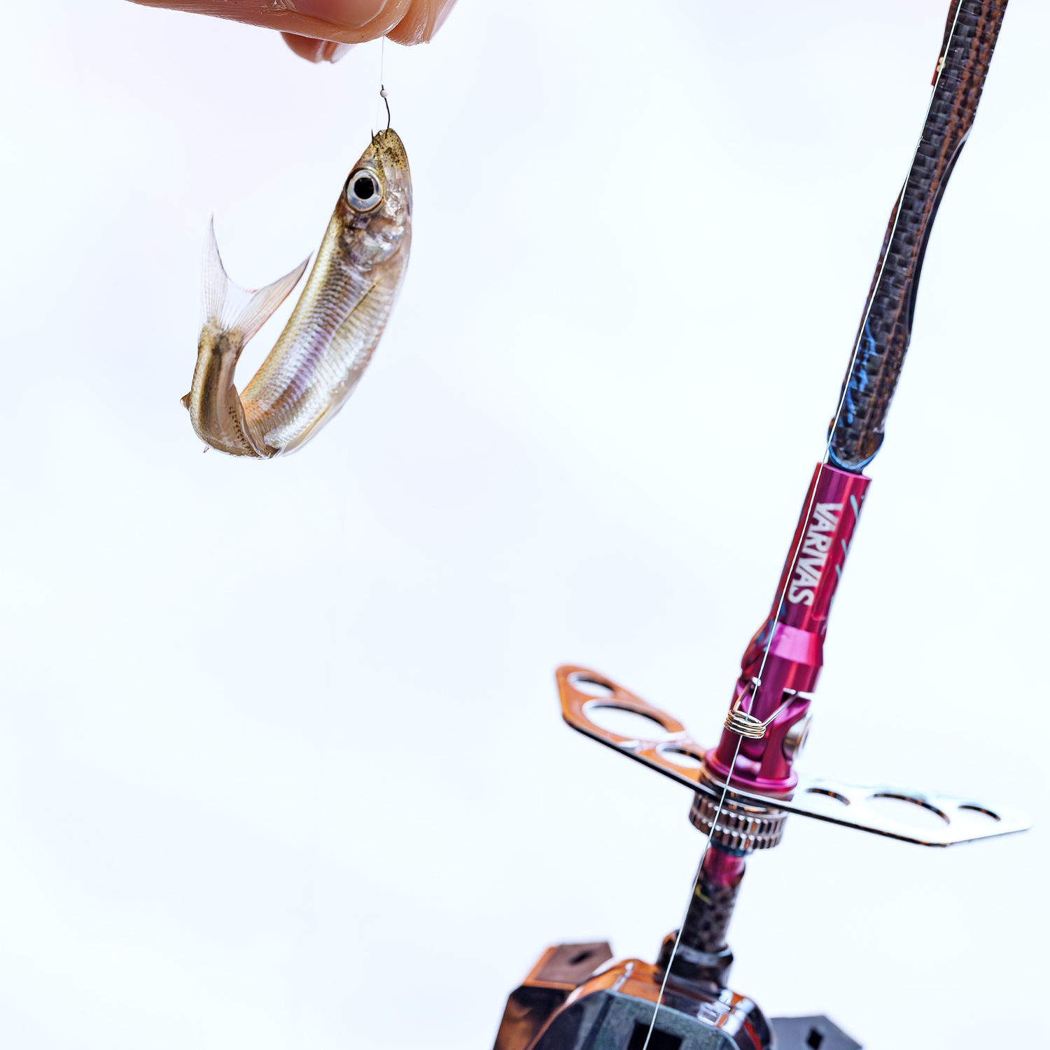 グラファイトワークス 桧原MAX 可変ソケット<改>Full-tuneパープルヘイズカスタム