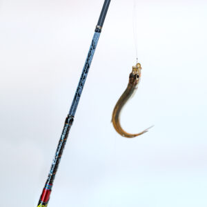 グラファイトワークス ワカサギ穂先 MAX299＜改＞