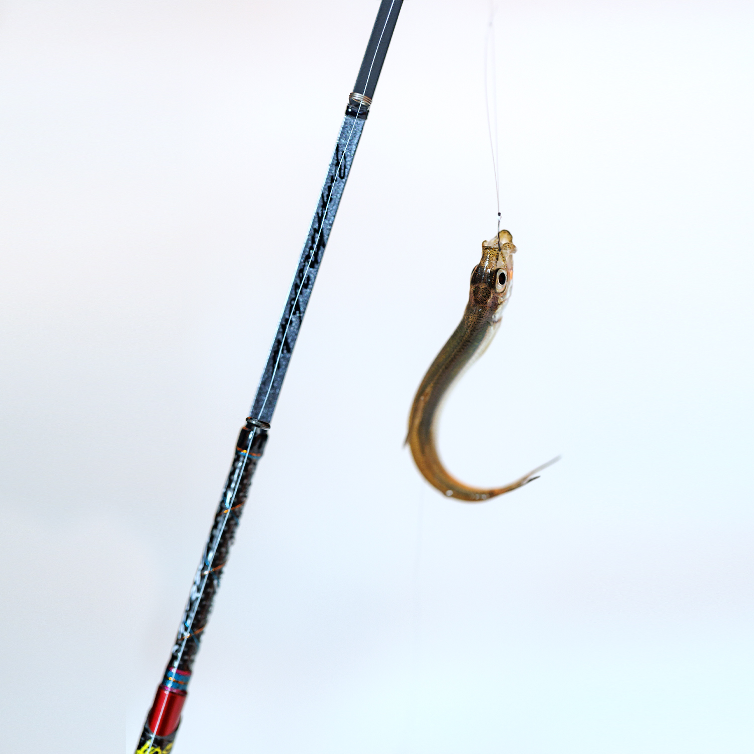 グラファイトワークス ワカサギ穂先 MAX299＜改＞