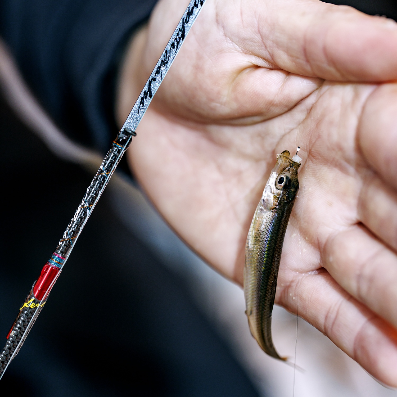 グラファイトワークス ワカサギ穂先 MAX299＜改＞