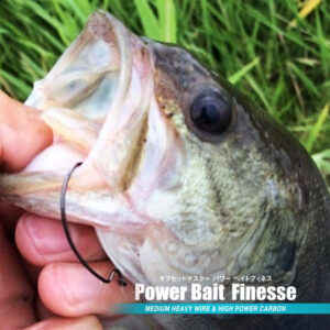 Offset Master Power Bait Finesse
