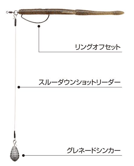 Through Down Shot Leader