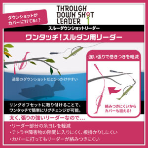 スルーダウンショットリーダー
