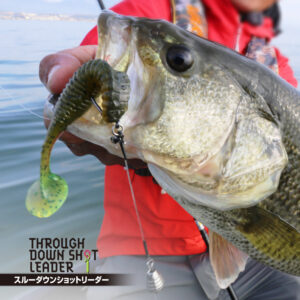 スルーダウンショットリーダー