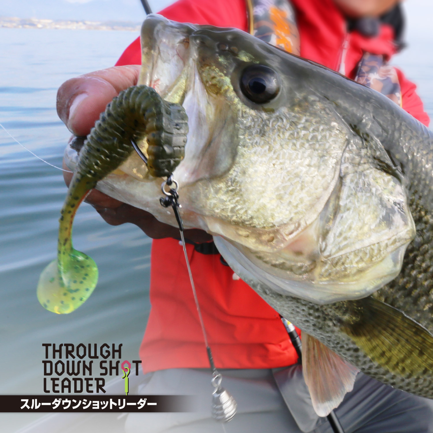 スルーダウンショットリーダー