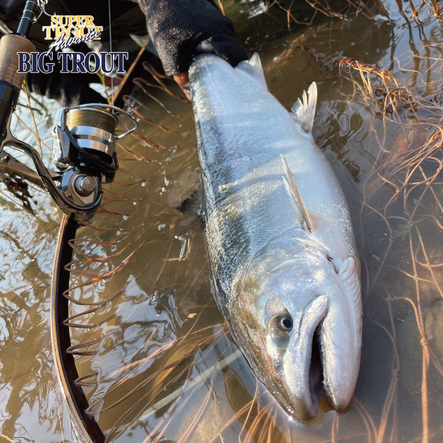 スーパートラウト アドバンス ビッグトラウト［ナイロン］