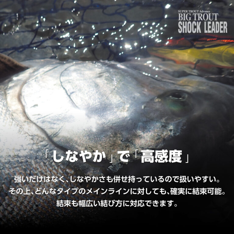 Super Trout Advance [Big Trout Shock Leader]