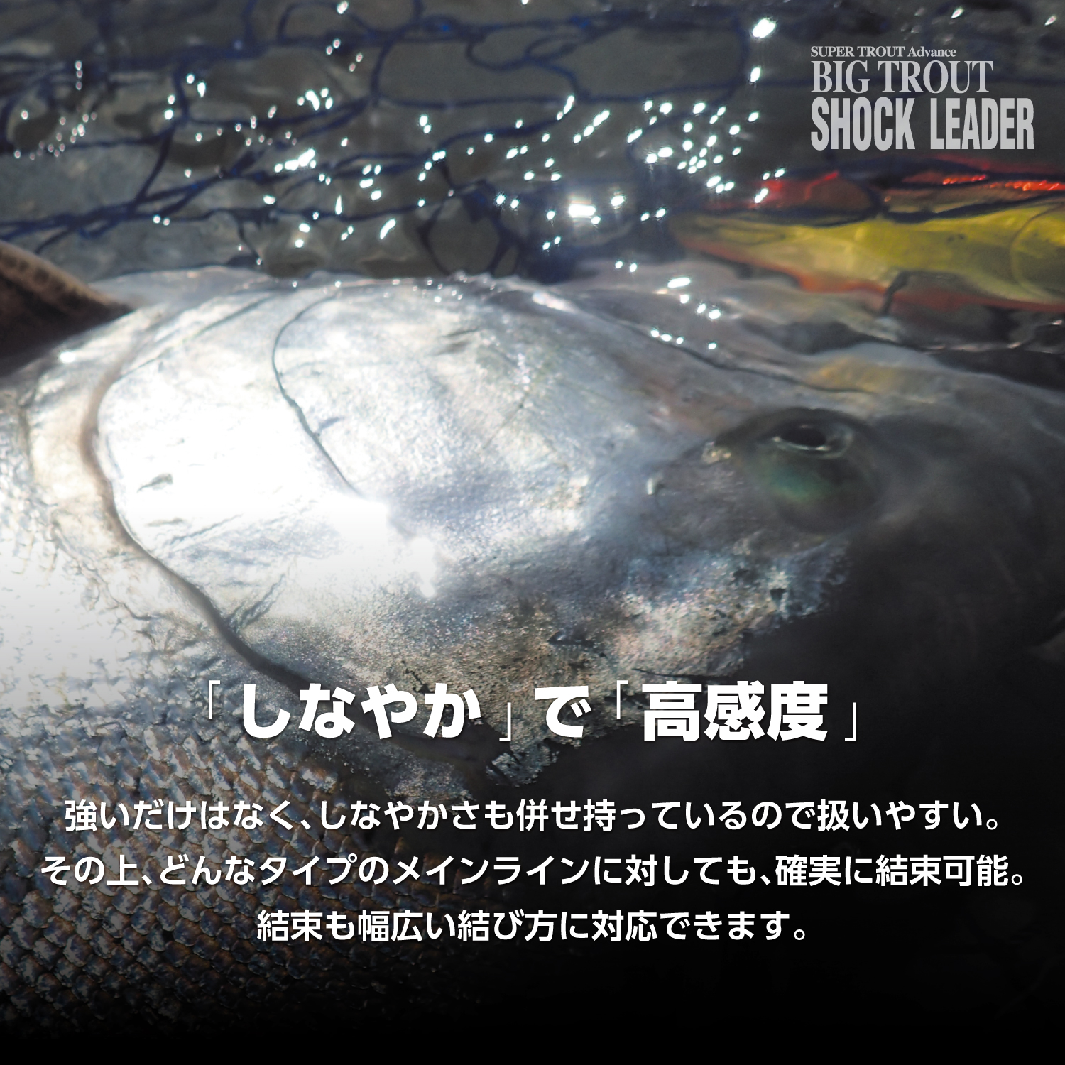 スーパートラウト アドバンスビッグトラウト ショックリーダー［VSPフロロカーボン］