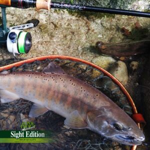 スーパートラウト アドバンス サイトエディション ［ナイロン］