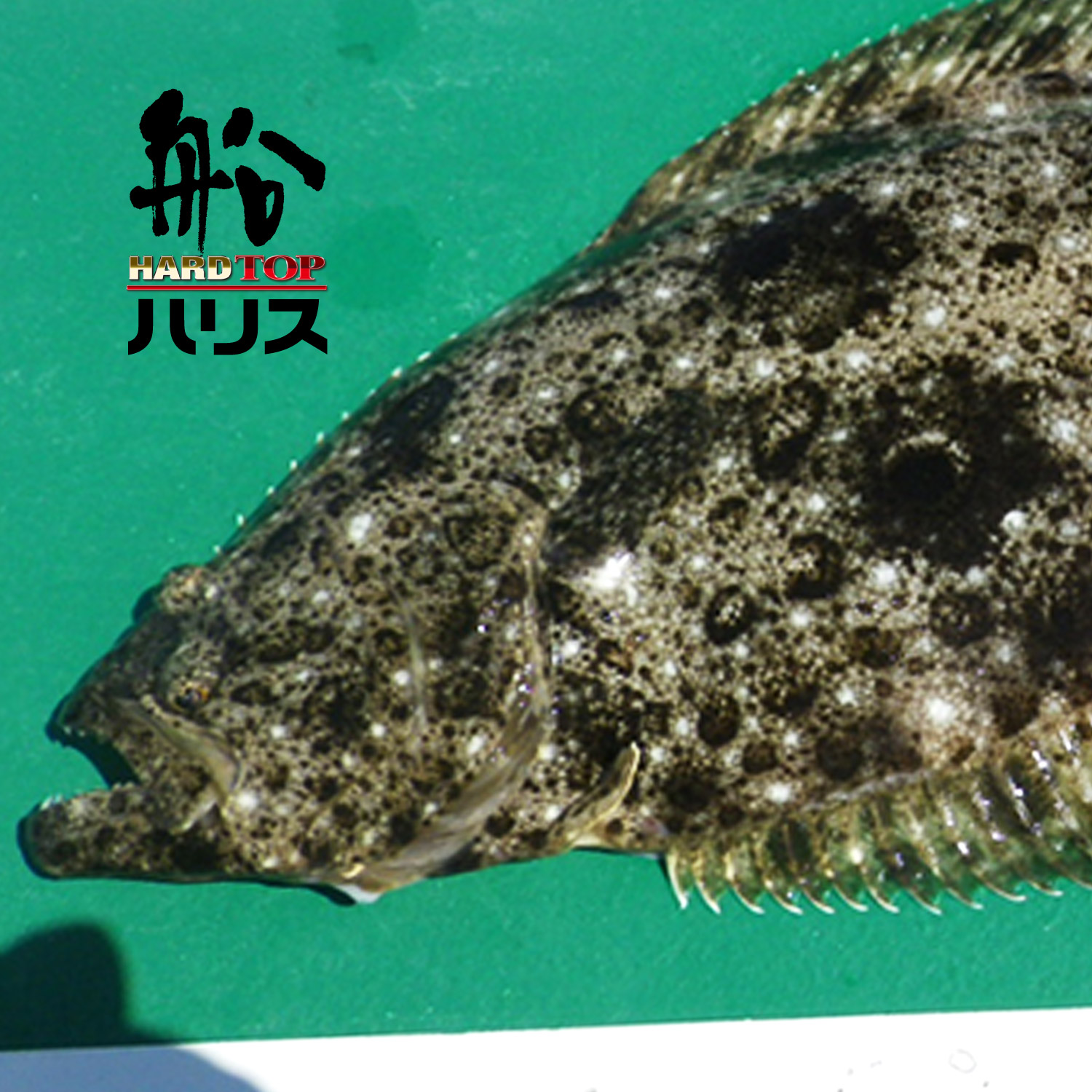 ハードトップ 船ハリス［フロロカーボン］