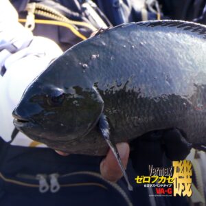 バーマックス磯  ゼロフカセ ［VA-Gナイロン］