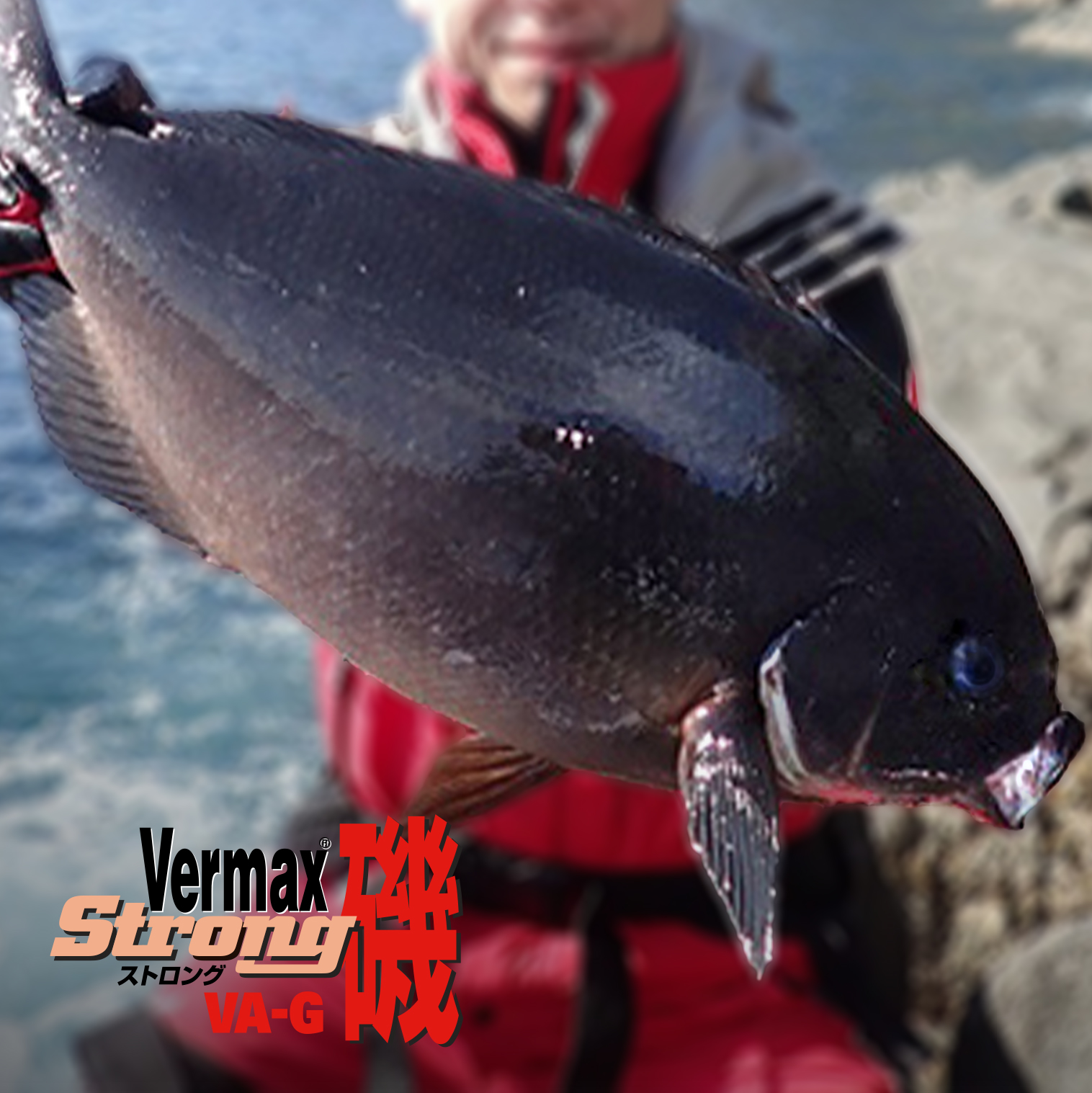 バーマックス磯 ［ストロングタイプ］