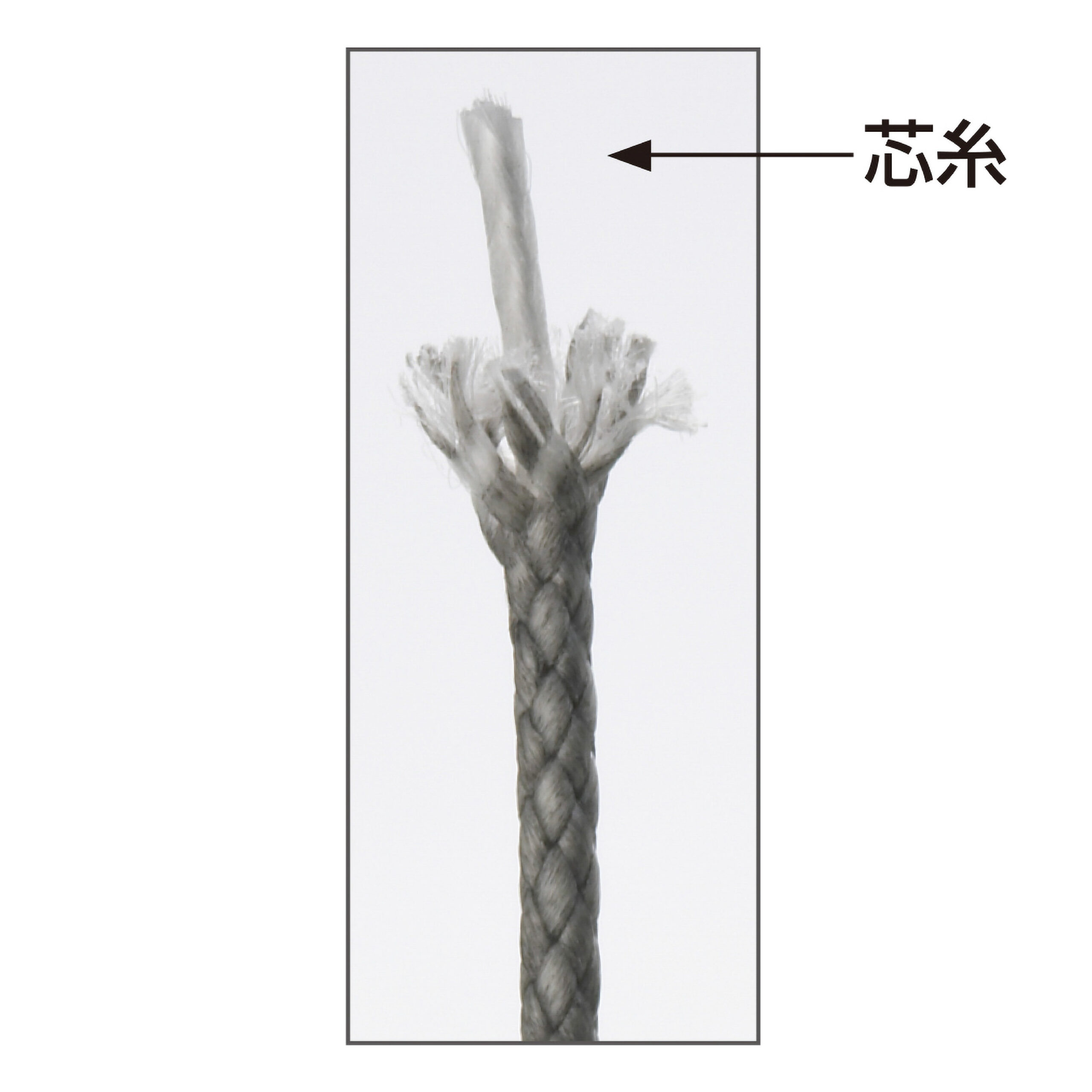 アバニ オーシャンワークス アシストリーダー SMP