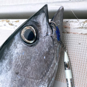 アバニ オーシャンワークス ソリッドリング