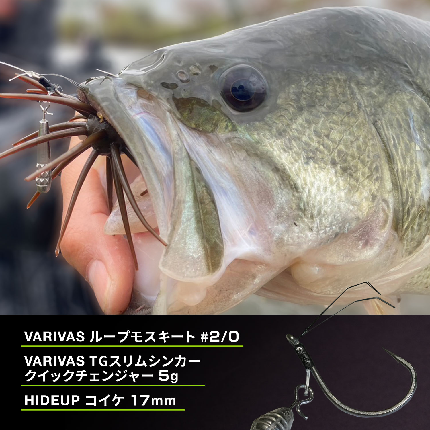 ループモスキート