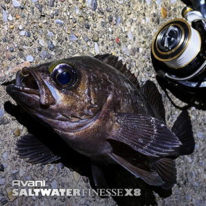 アバニ ソルトウォーターフィネスPE X8