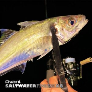 Avani Saltwater Finesse PE X8