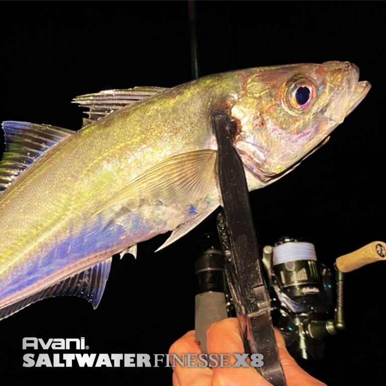 Avani Saltwater Finesse PE X8