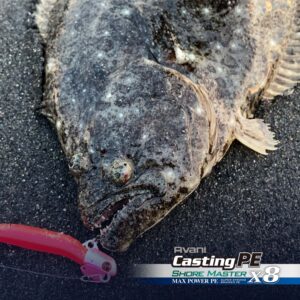 アバニ キャスティングPE マックスパワー X8 ショアマスター