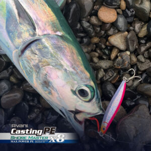 アバニ キャスティングPE マックスパワー X8 ショアマスター