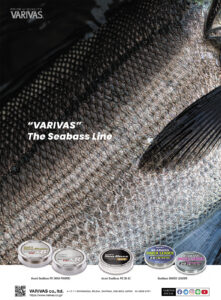 アバニ シーバスマックスパワーPE X8 ステルスグレー