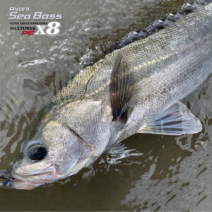 アバニ シーバスマックスパワーPE X8 ステルスグレー