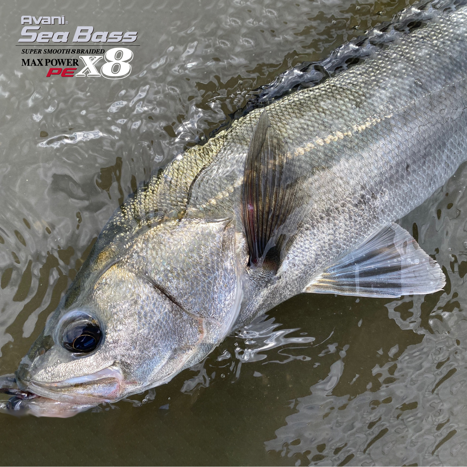 アバニ シーバスマックスパワーPE X8 ステルスグレー