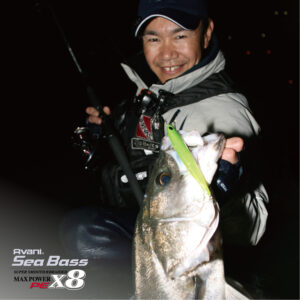 アバニ シーバスマックスパワーPE X8 ステルスグレー