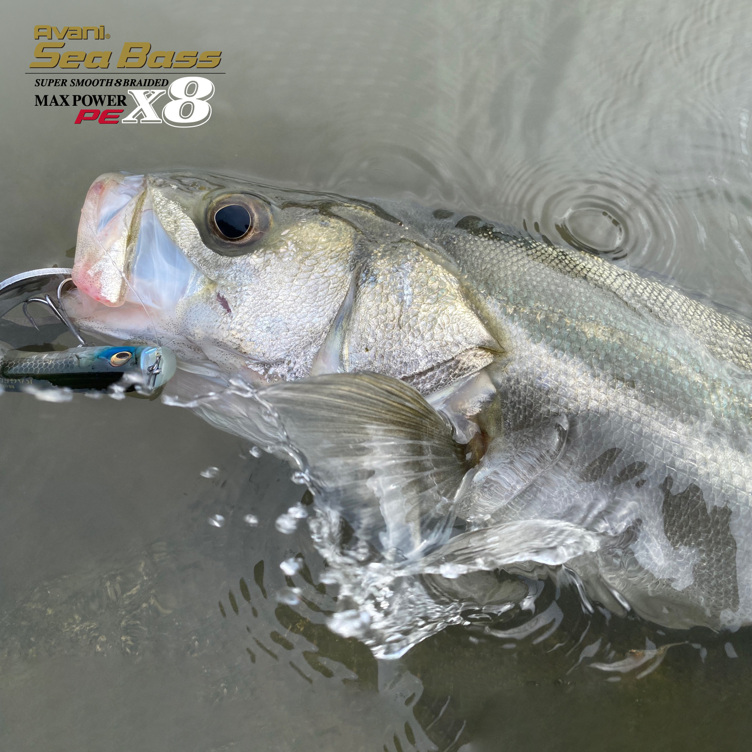 アバニ シーバスマックスパワーPE X8 ステータスゴールド