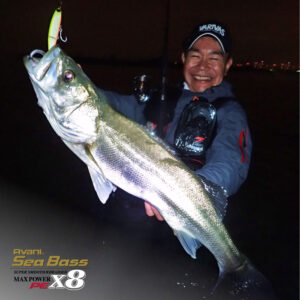 アバニ シーバスマックスパワーPE X8 ステータスゴールド