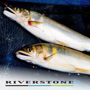 トライキット鮎 リバーストーン63