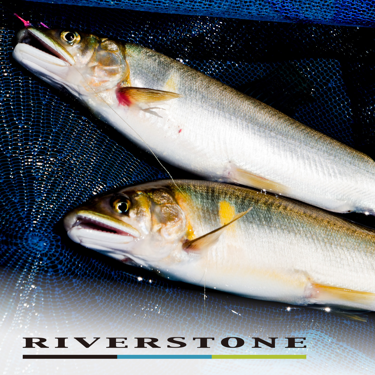 トライキット鮎 リバーストーン63