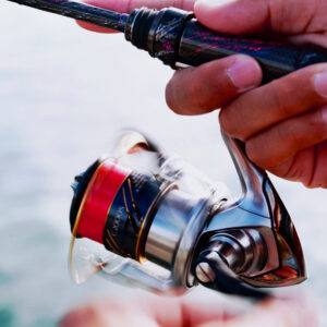 アジングマスター［エステル］レッドアイ