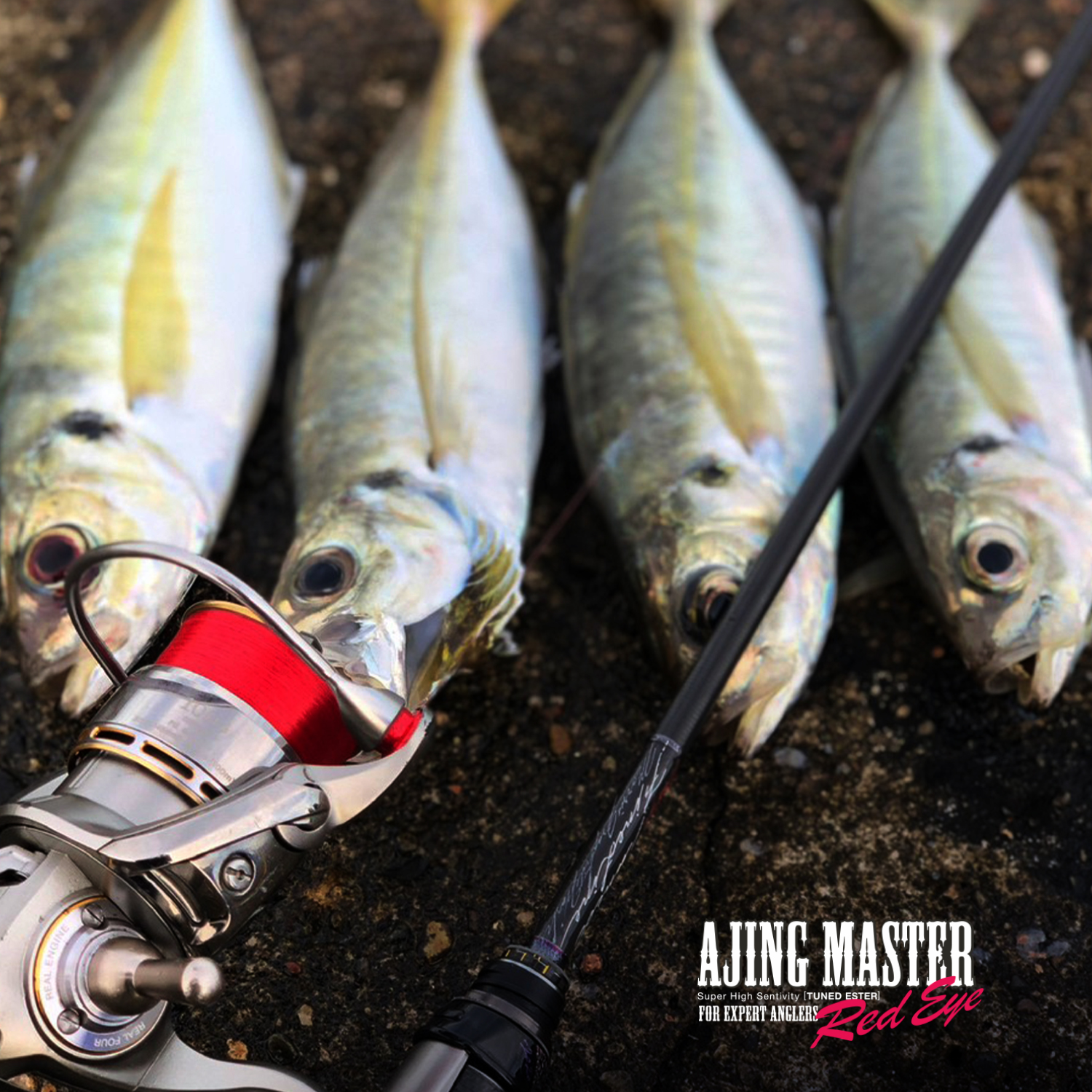 アジングマスター［エステル］レッドアイ