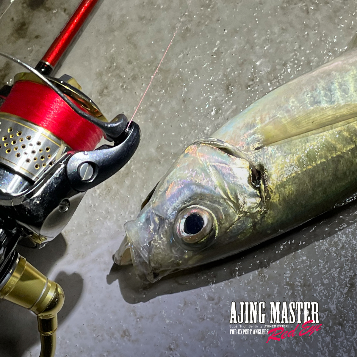 アジングマスター［エステル］レッドアイ