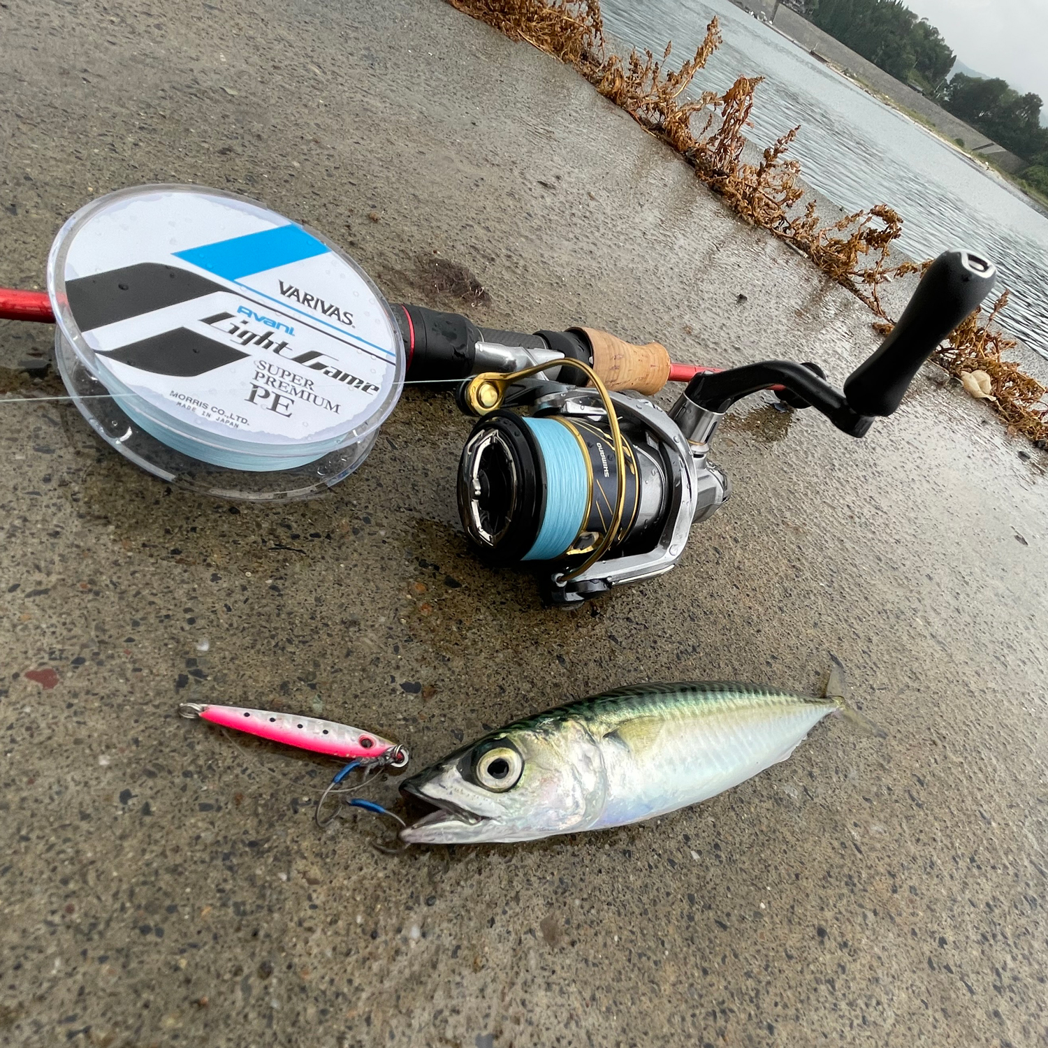 アバニ ライトゲームスーパープレミアムPE X4