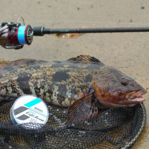 アバニ ライトゲームスーパープレミアムPE X4