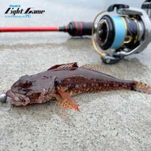 アバニ ライトゲームスーパープレミアムPE X4