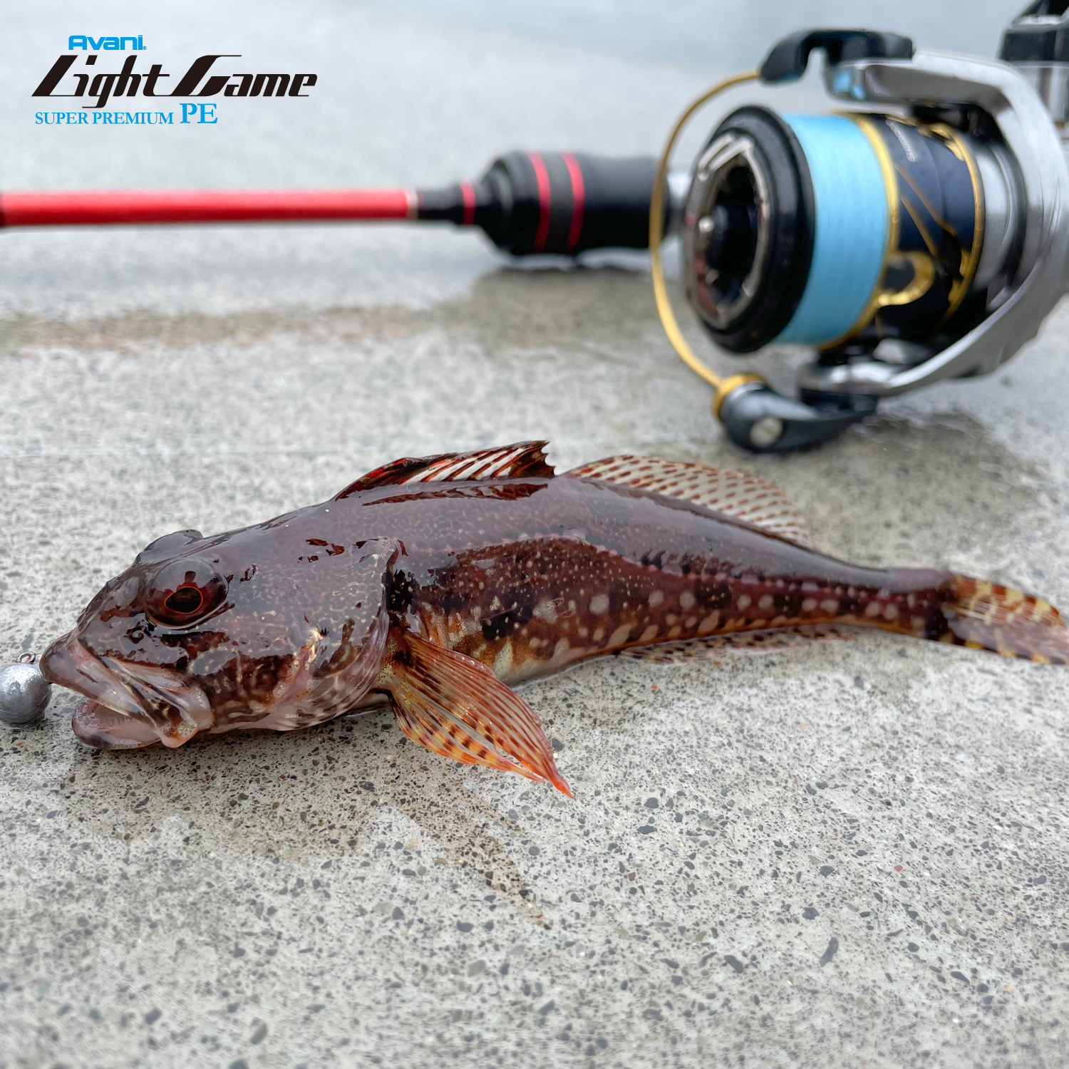 アバニ ライトゲームスーパープレミアムPE X4