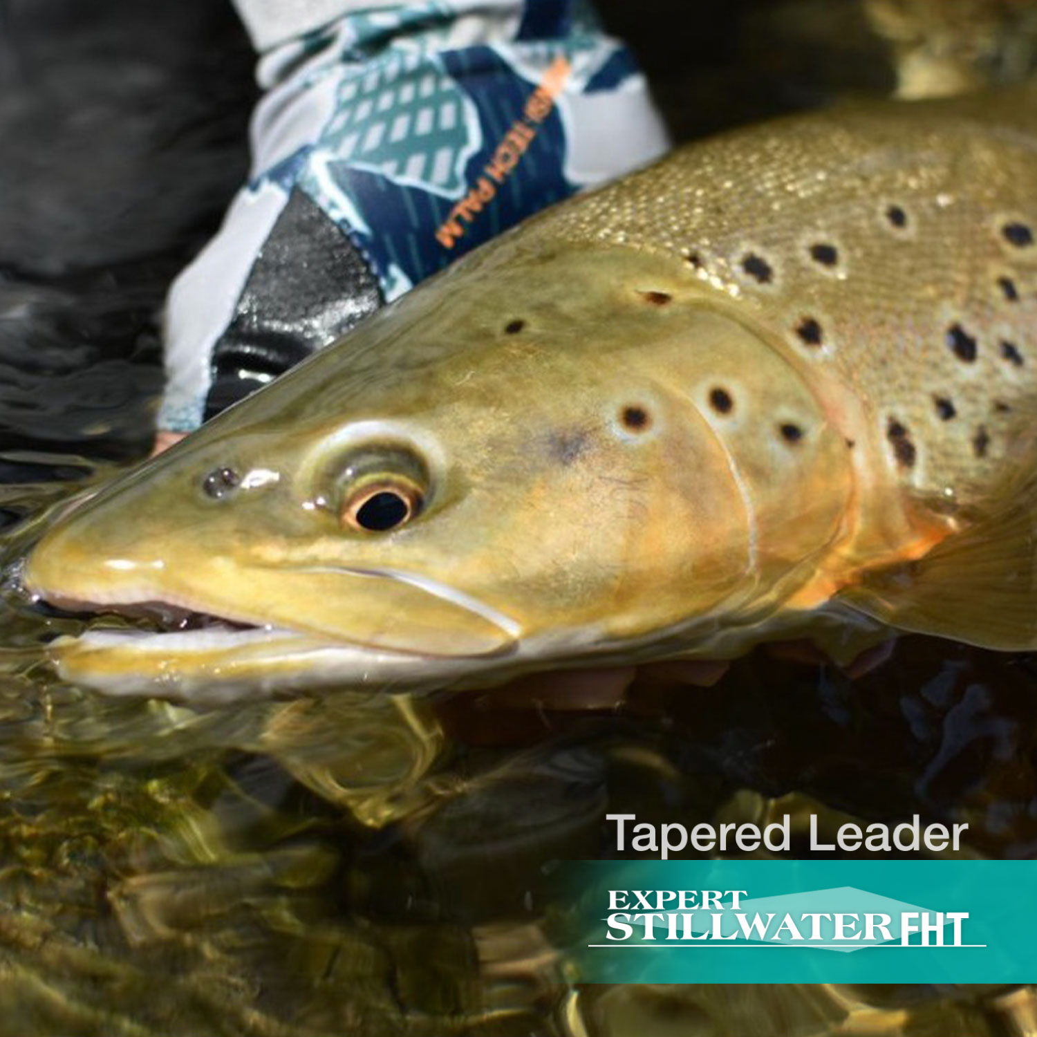 テーパードリーダー エキスパート スティルウォーター FHT［ナイロン］