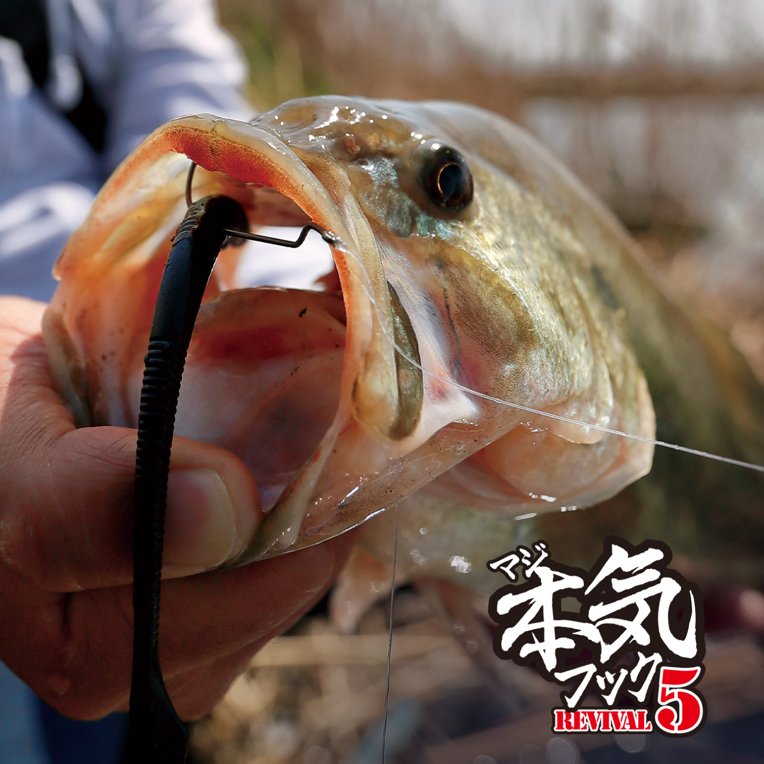 本気（マジ）フック REVIVAL5