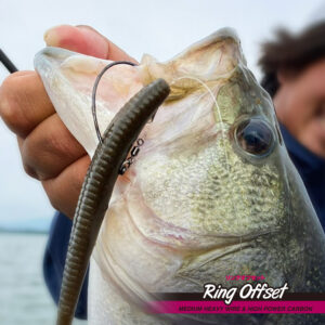 リングオフセット