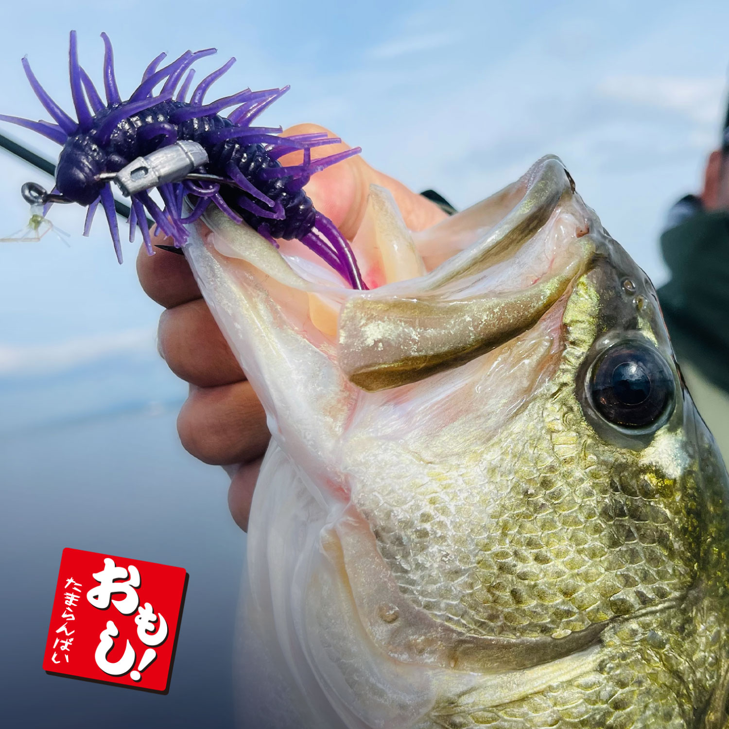 フックセットシンカー おもし！