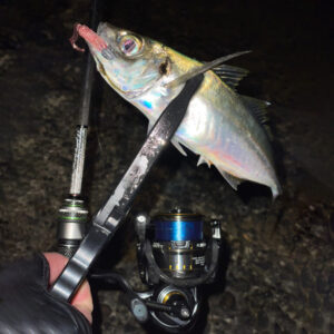Ajing Master [Fluorocarbon] Blue Moon