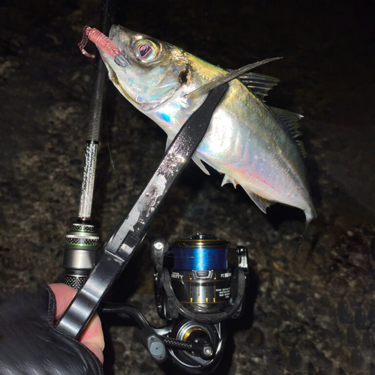 Ajing Master [Fluorocarbon] Blue Moon