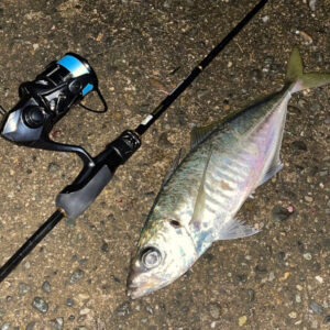 Ajing Master [Fluorocarbon] Blue Moon