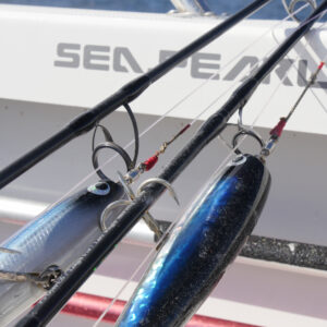 アルティメット ファイティングリーダー