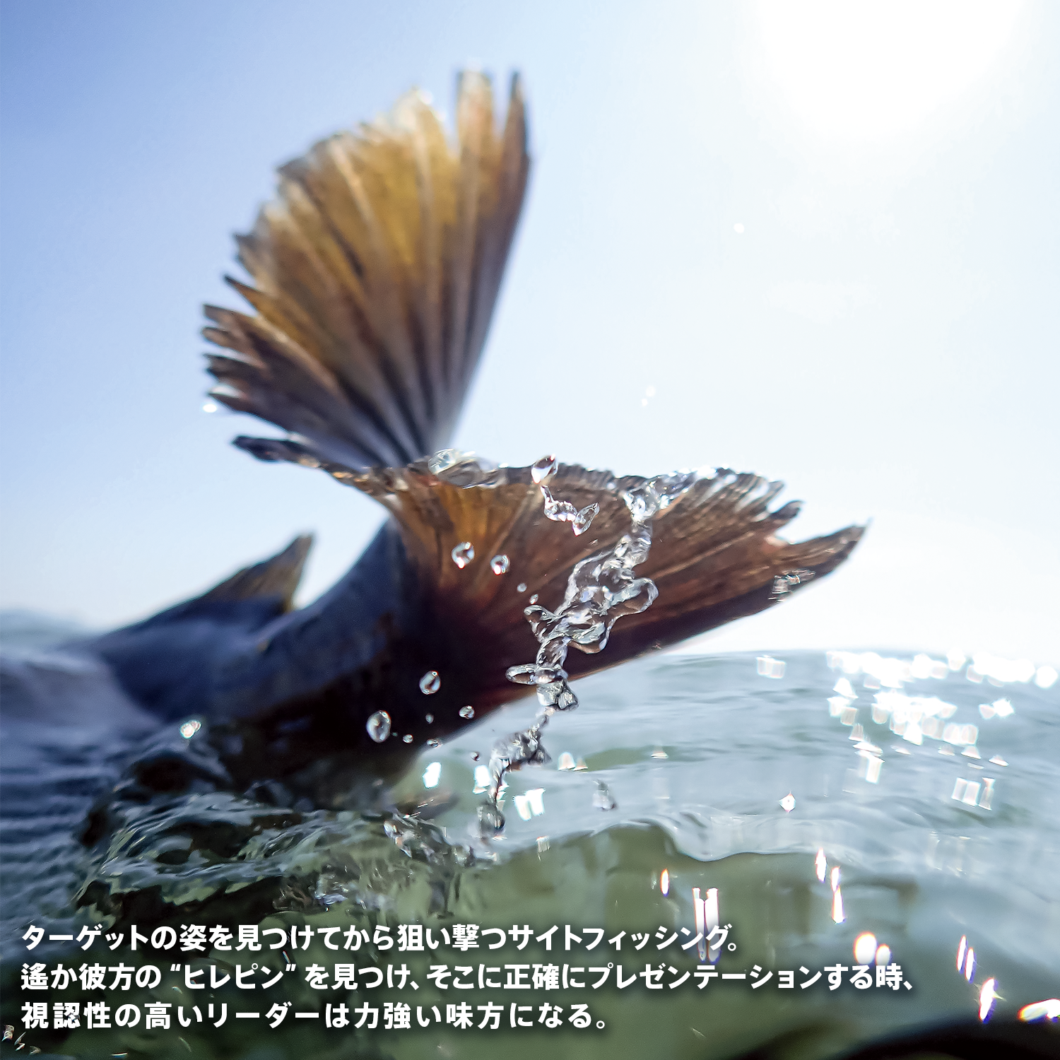 テーパードリーダー レコードマスター SW FHT IGFA［ナイロン］パイロレッド